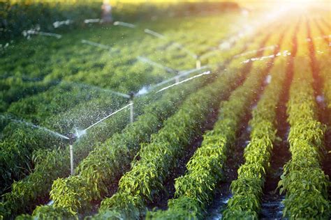 Irrigation system cost. Things To Know About Irrigation system cost. 